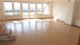 photo_7