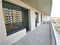photo_5
