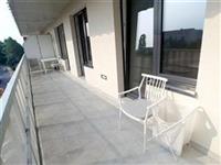 photo_4
