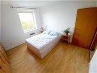 photo_14