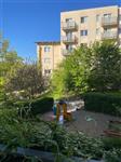 photo_2