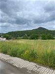 photo_5