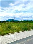 photo_7
