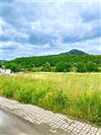 photo_2