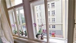 photo_8