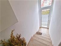 photo_11