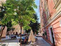 photo_17