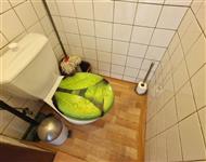 photo_12
