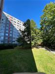 photo_2