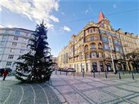 photo_19