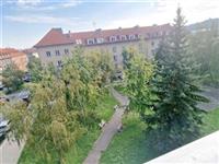 photo_13