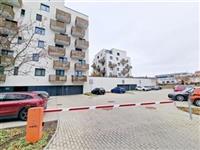 photo_16