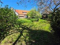 photo_14