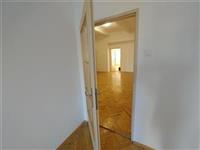 photo_11
