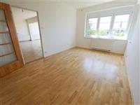 photo_14