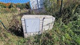 photo_11