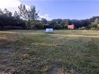photo_2