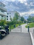 photo_12