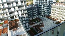 photo_14