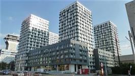 photo_19